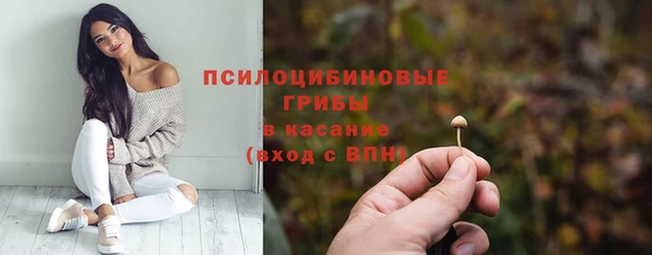 дурь Покровск
