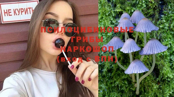 PSILOCYBIN Мосальск