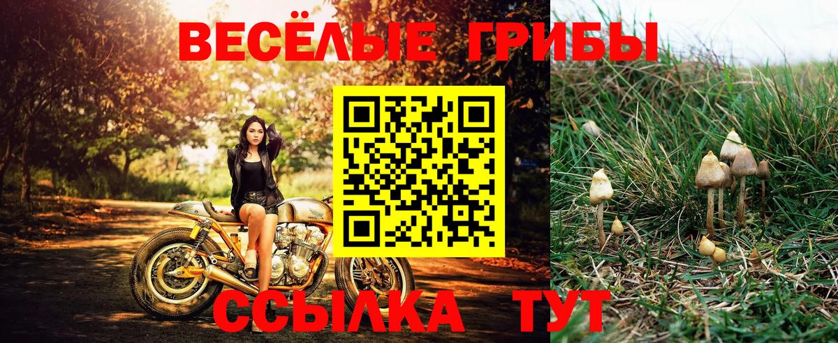 Псилоцибиновые грибы MAGIC MUSHROOMS  Псилоцибиновые грибы Psilocybe  Сафоново  Вход с VPN 