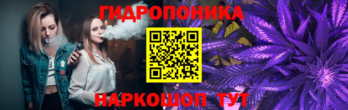 Бошки марихуана OG Kush  Марихуана сатива  Сафоново 